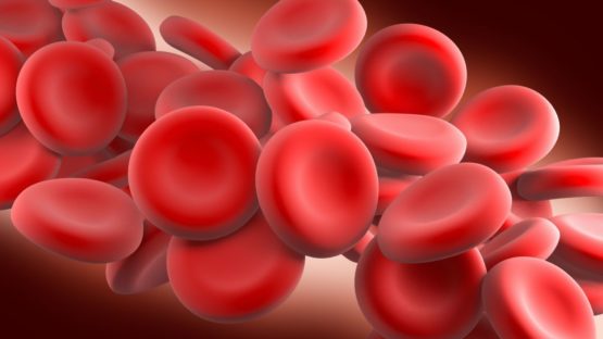 Красные кровяные тельца в крови человеческого организма