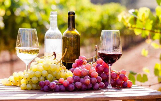 Перебродивший виноград является природным источником алкоголя