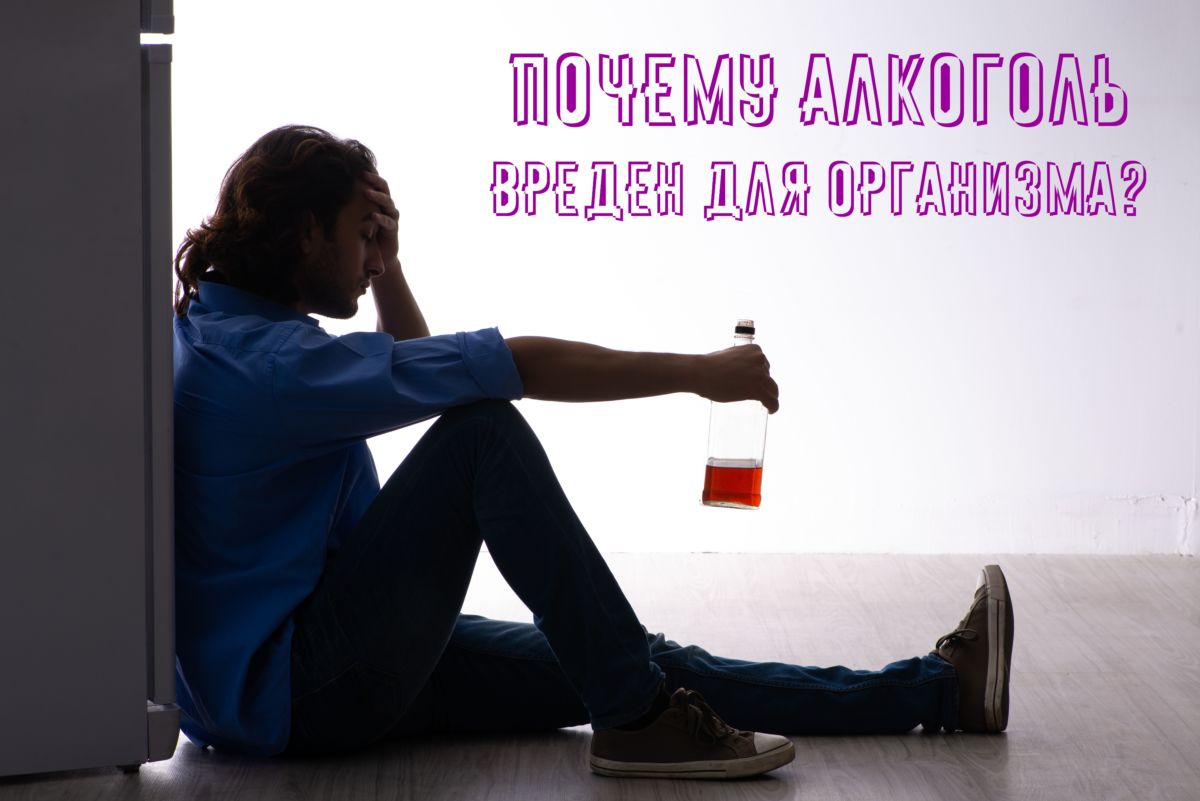 Почему алкоголь вреден для организма?